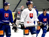 Hokejisti Slovenska.