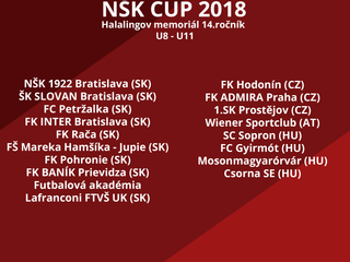 NŠK CUP 2018