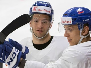 Nesmieš mať vysoko hokejku, kamarát. IIHF si rypla do slovenského obrancu