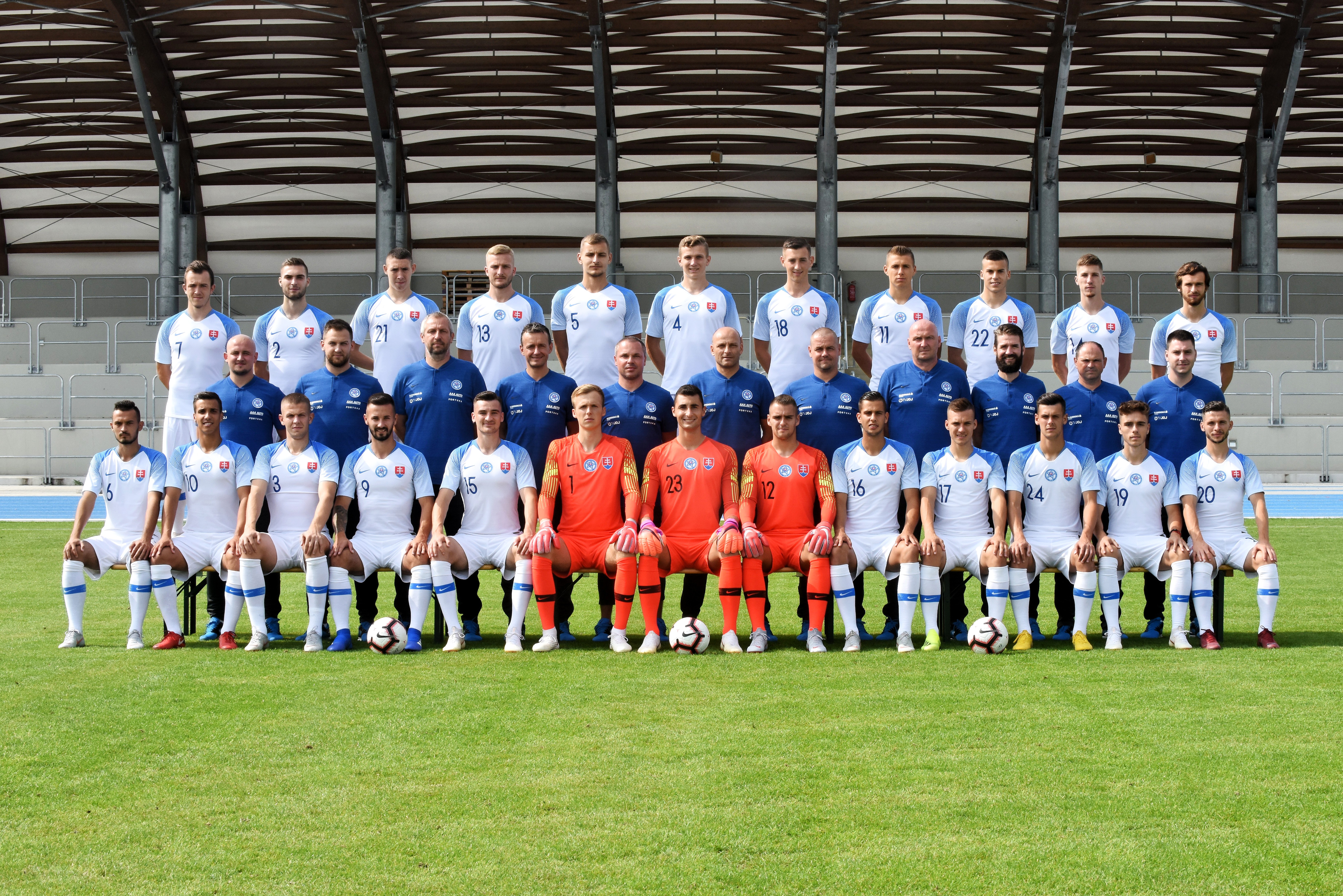 Slovenskí sokolíci