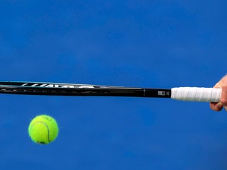 Baez si poradil s Ottem a postúpil do štvrťfinále turnaja ATP v Lyone