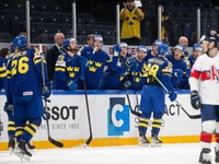 Švédi získali zaujímavé posily z NHL. Prídu brankár aj obranca