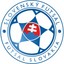 Slovenský pohár