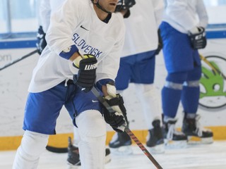 Marko Daňo strelil v AHL rozhodujúci gól, prvý bod v sezóne si pripísal Sekera