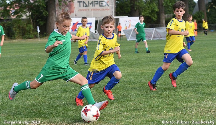 FRAGARIA 2019 - FOTOGALÃRIA